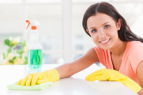 Cleaner performing safe oven cleaning in a Lewisham kitchen