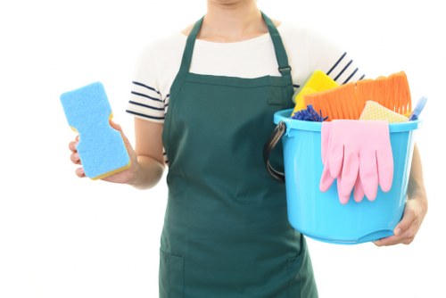 Professional cleaning team serving homes and businesses in Lewisham