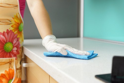Professional hard floor cleaning in a Lewisham home hallway