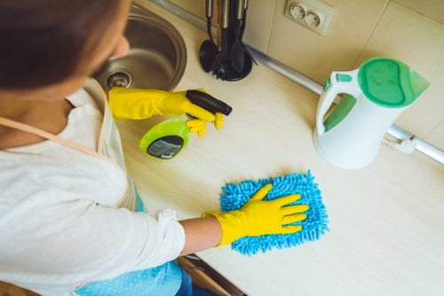 Detailed post-construction cleaning of kitchen units and worktops in Lewisham