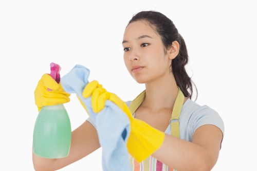 Protective oven cleaning process highlighting chemical and surface safety