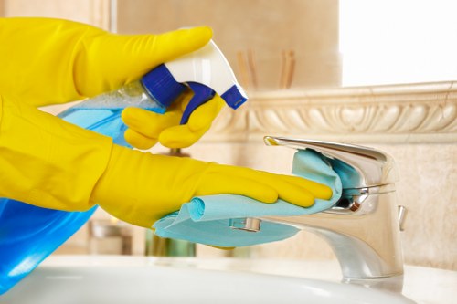 Professional sofa cleaning service for a Lewisham home interior