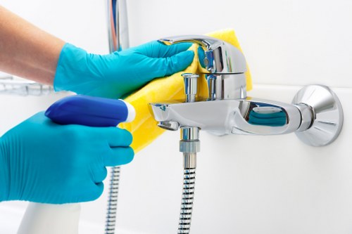 Residential and commercial cleaning company covering Lewisham