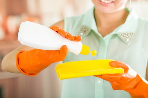 Deep cleaning and regular maintenance for properties in Lewisham
