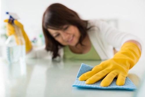 Cleaning products and tools ready for an oven cleaning appointment