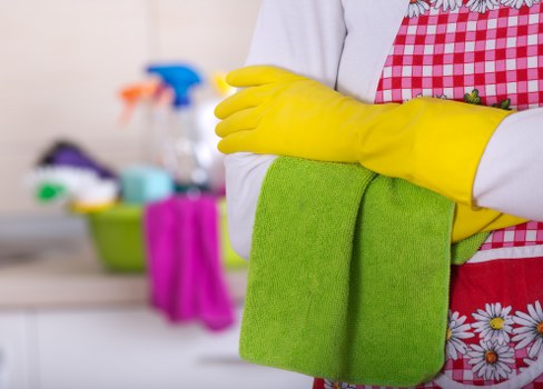 Deep cleaning support for a Lewisham property
