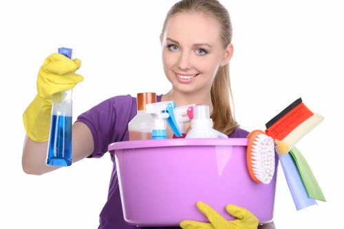 Local domestic cleaner working in a Lewisham kitchen and living space