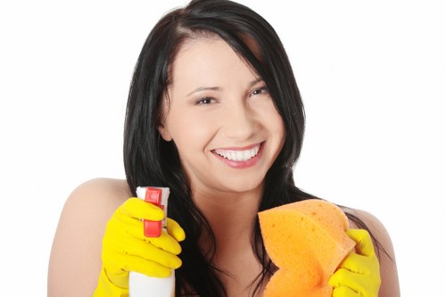 Cleaning support for flats and houses across Lewisham