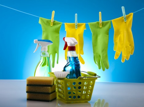 Professional carpet cleaner treating a hallway carpet in Lewisham