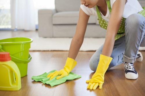 Window cleaning service for a flat or mixed-use building in Lewisham