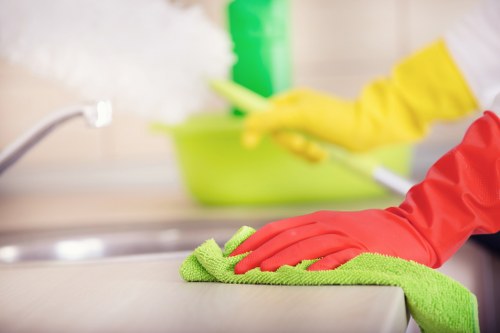 Professional home cleaning for a Lewisham resident